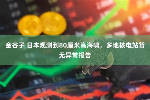金谷子 日本观测到80厘米高海啸，多地核电站暂无异常报告