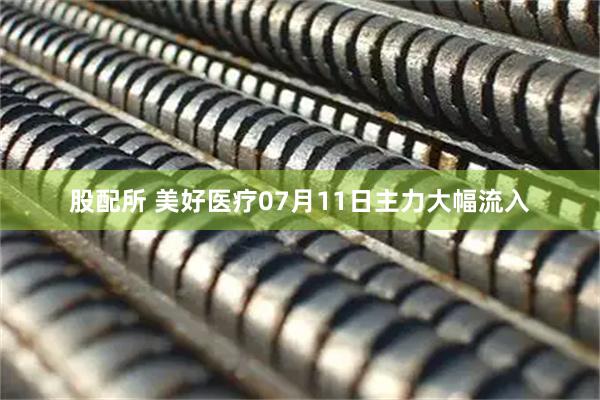股配所 美好医疗07月11日主力大幅流入