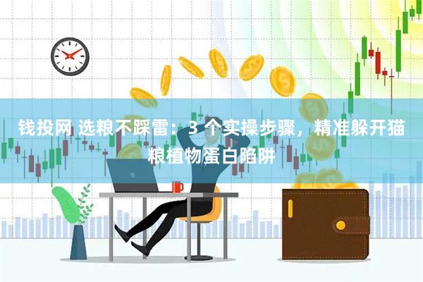 钱投网 选粮不踩雷：3 个实操步骤，精准躲开猫粮植物蛋白陷阱