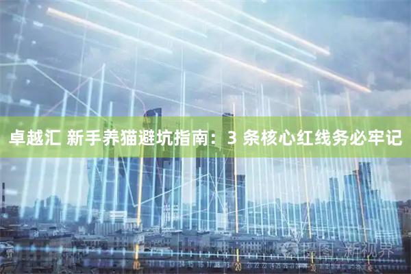 卓越汇 新手养猫避坑指南：3 条核心红线务必牢记